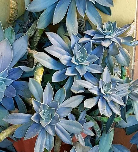 La Casa Al Mare Daire *