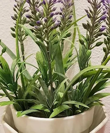 La Casa Al Mare Apartment Pescara