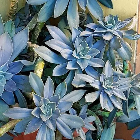 La Casa Al Mare Apartment *