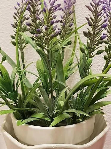 La Casa Al Mare Lejlighed Pescara